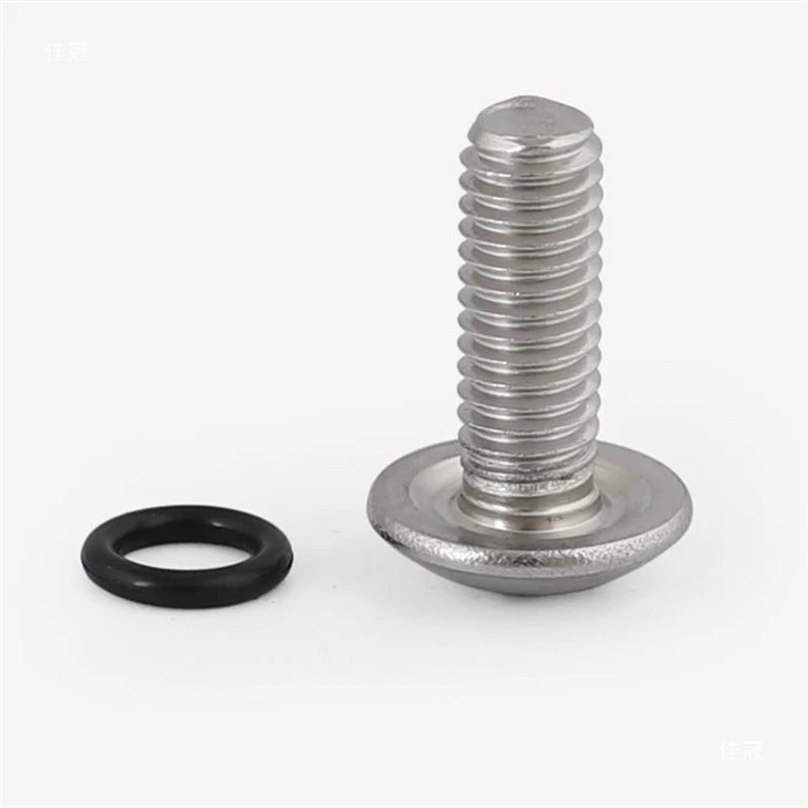 button head sealing screw (5)