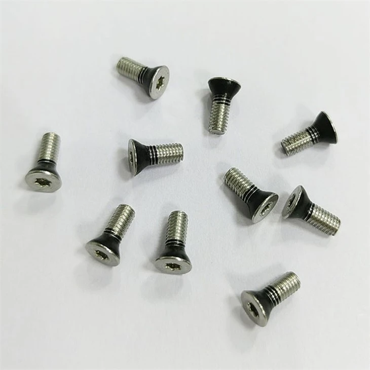 Flat head sealing screw (6)