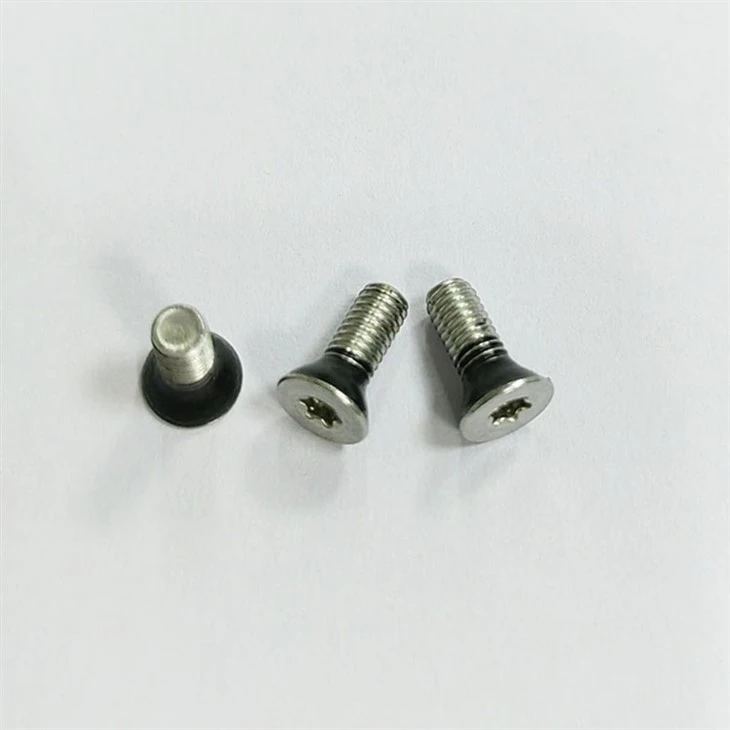 Flat head sealing screw (4)