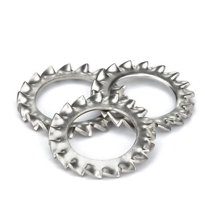 External Tooth Washer External Tooth Washer