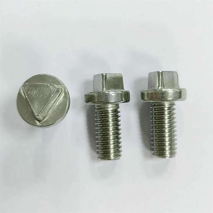 Triangle Security Screw (2)