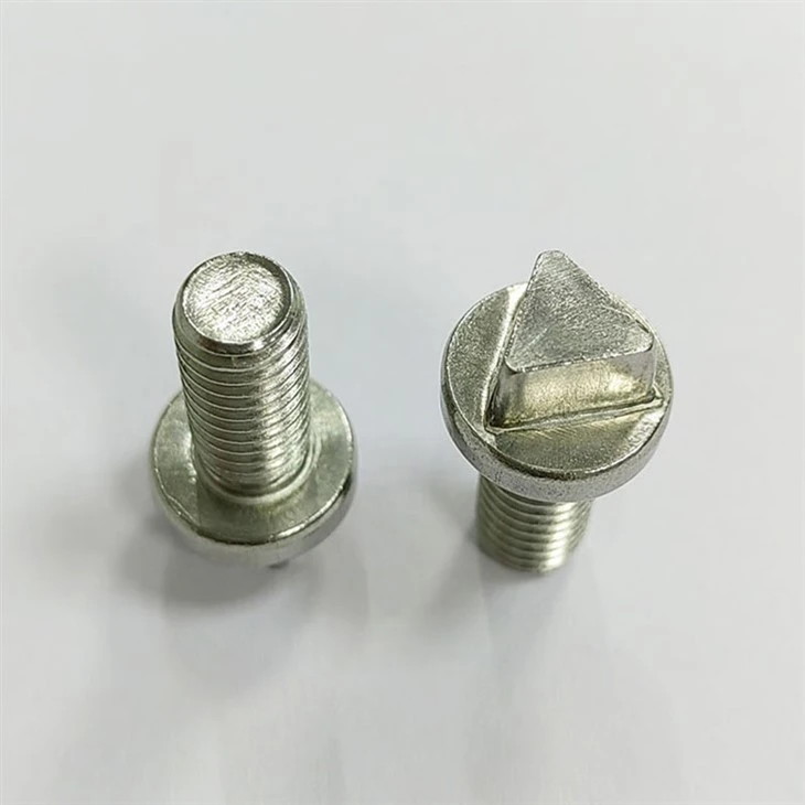 Triangle Security Screw (4)