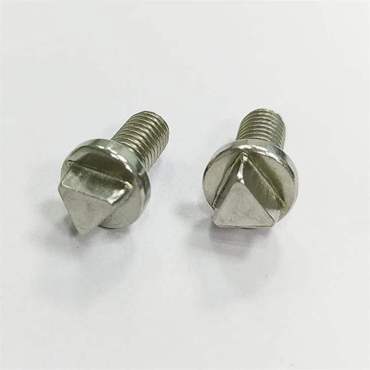Triangle Security Screw (6)
