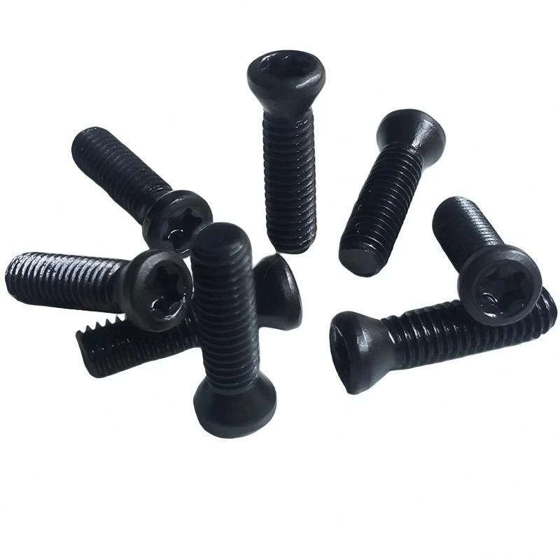 torx head screw (1)