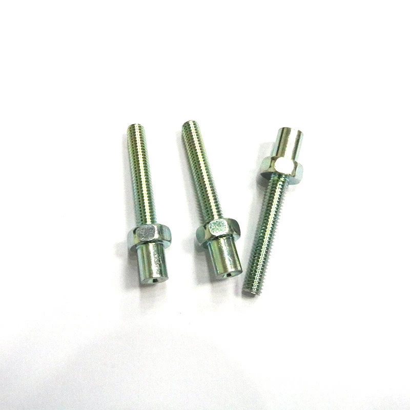 Adjustable Anchor Screw
