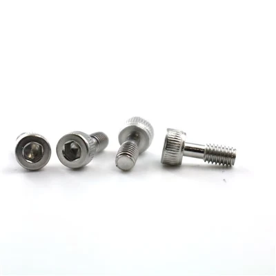 Customization of stainless steel screws that will not fall out