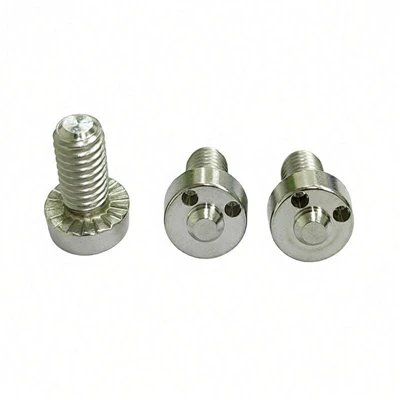Tamper-Resistant Drilled Spanner Head Screw